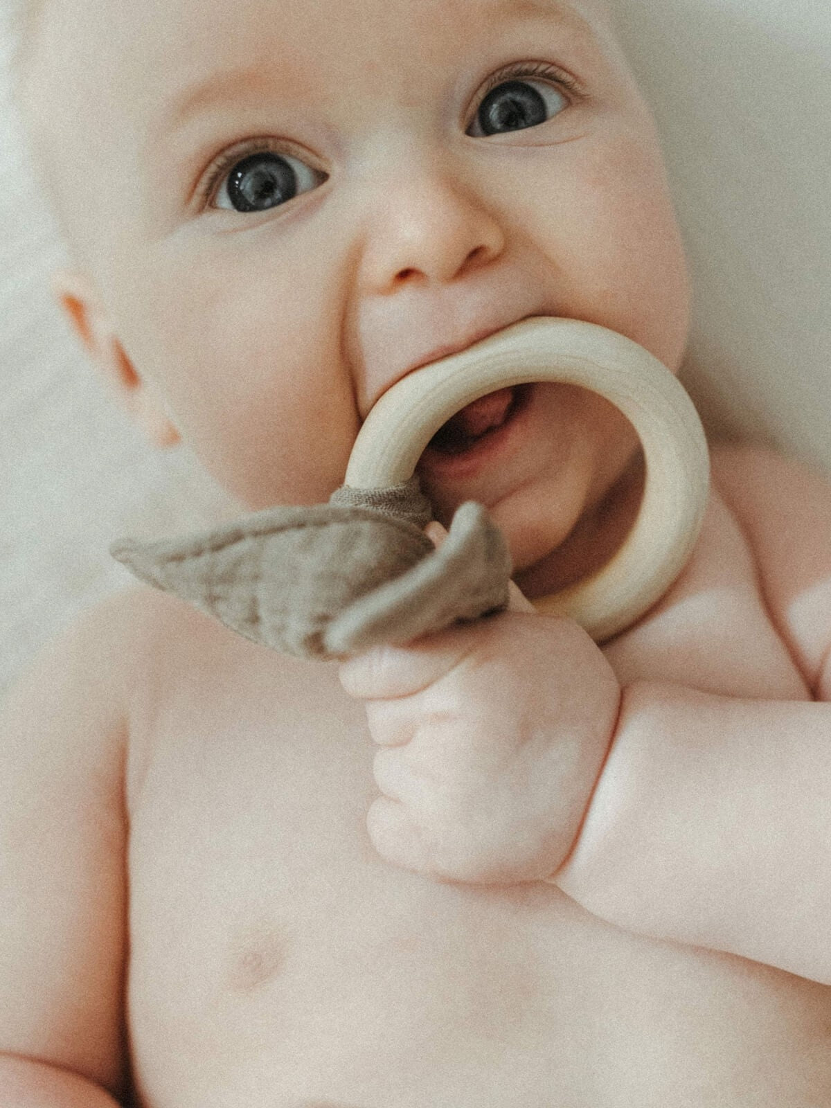 bunny-teethers